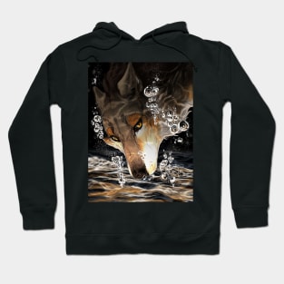 Dive Hoodie